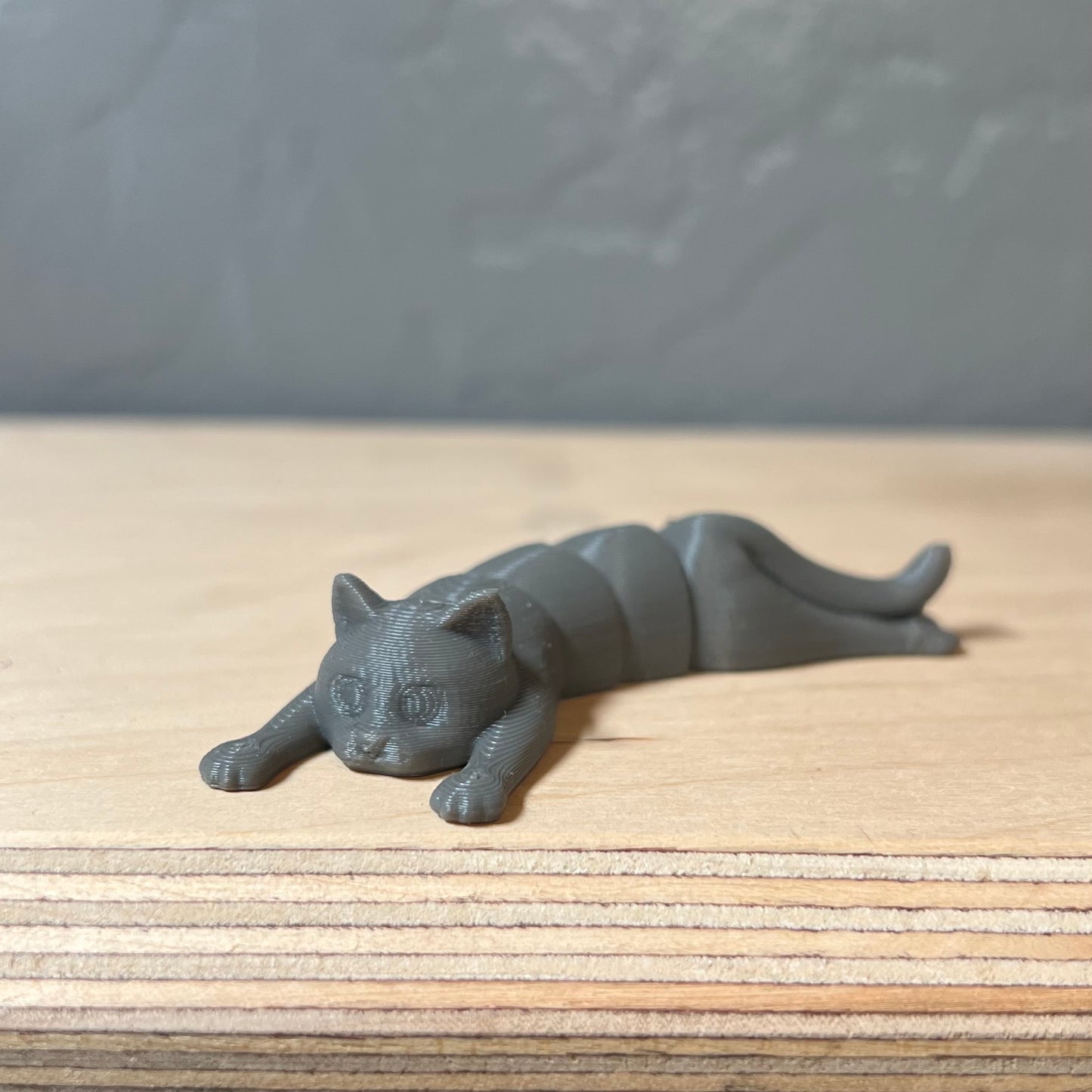 Gray Cat 3D