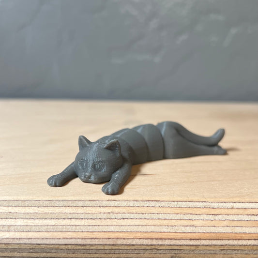 Gray Cat 3D